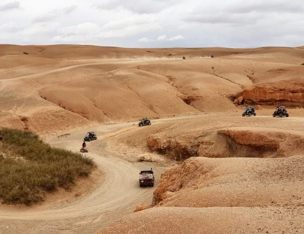 Agafay desert Camel ride Agafay Transport to agafay pool agafay desert Restaurant Agafay desert
