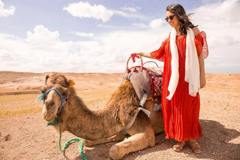 1-Day Marrakech   Agafay — from Casablanca