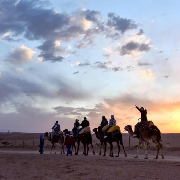 Agafay Pearl Camp camel ride