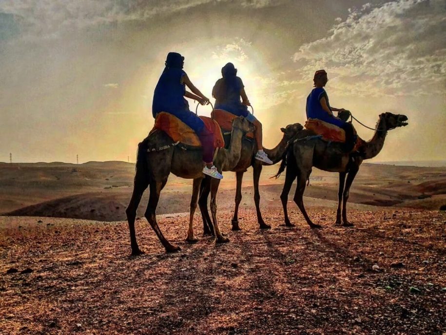 How to book a guided camel tour in Agafay Desert