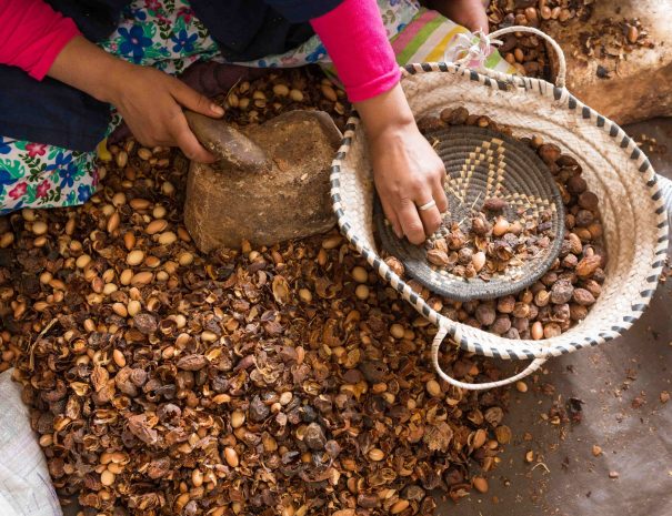 Visit Argan Oil Cooperative in Agafay Desert pure argan oil