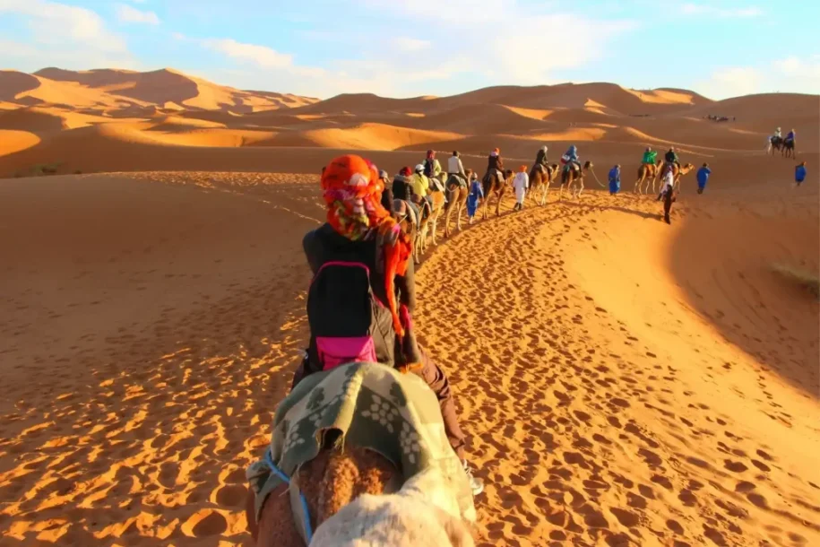 Camel trekking in the Moroccan Sahara